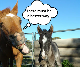 Smart Tech for Safe Foaling